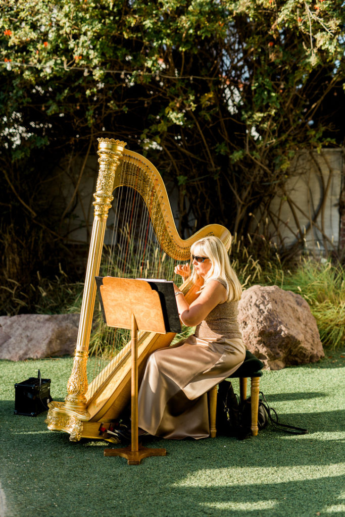 Harp Player at the Casino San Clemente